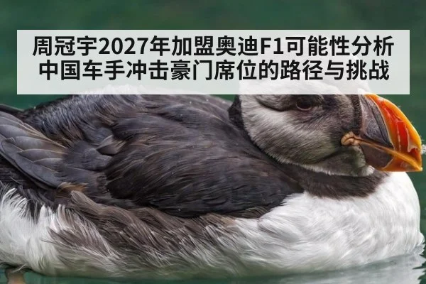 周冠宇2027年加盟奥迪F1可能性分析 中国车手冲击豪门席位的路径与挑战