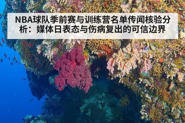 NBA球队季前赛与训练营名单传闻核验分析:媒体日表态与伤病复出的可信边界